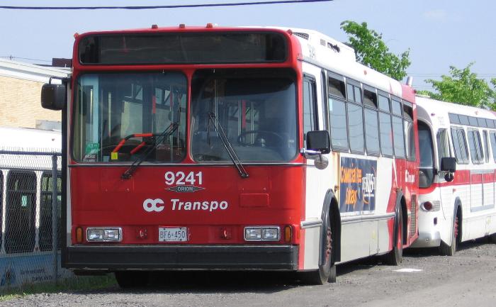      http://www.tomsbuspage.ca/OCTranspo/OC9241.jpg          